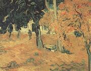 Vincent Van Gogh The Garden of Saint-Paul Hospital (nn04) oil painting on canvas